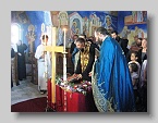 IMG_1248 (Medium)